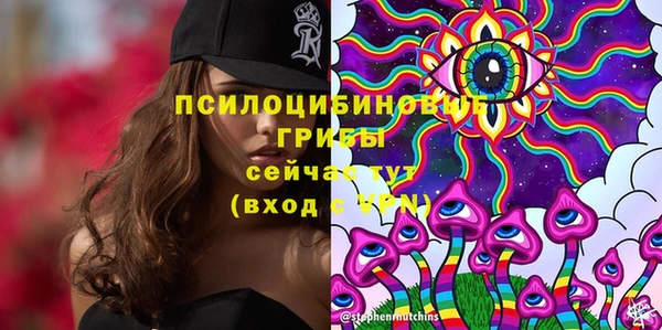 а пвп мука Бронницы