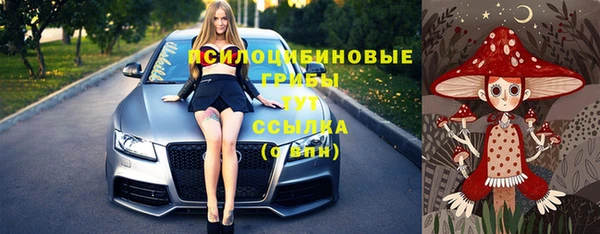 прущие крисы Богородицк