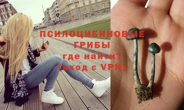 прущие крисы Богородицк