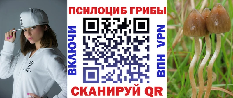 Галлюциногенные грибы ЛСД  Купить где  Кодинск 